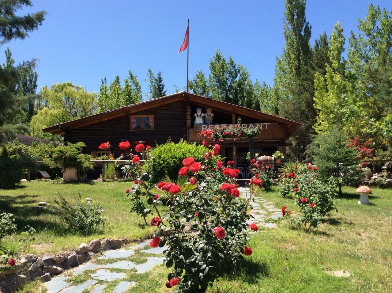 Villa Cabana Pica Piedra à Mendoza Extérieur photo